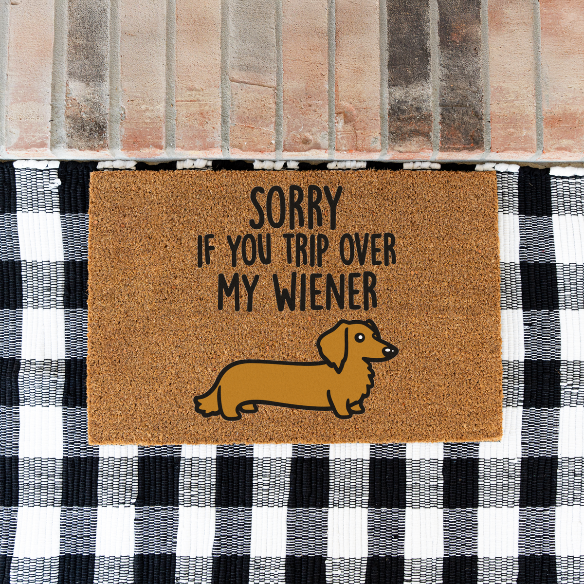 Sorry If You Trip Over My Wiener dachshund coir doormat on a black and white buffalo check rug at a brick step