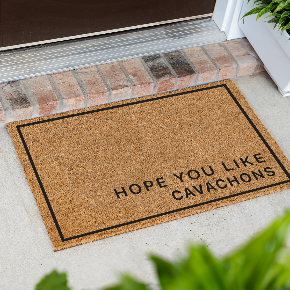 Hope You Like Cavachons minimalist coir doormat with a thin black border at an angle in front of a brick step