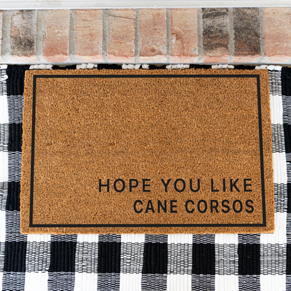 Hope You Like Cane Corsos minimalist coir doormat with a thin black border on a black and white buffalo check rug, close view