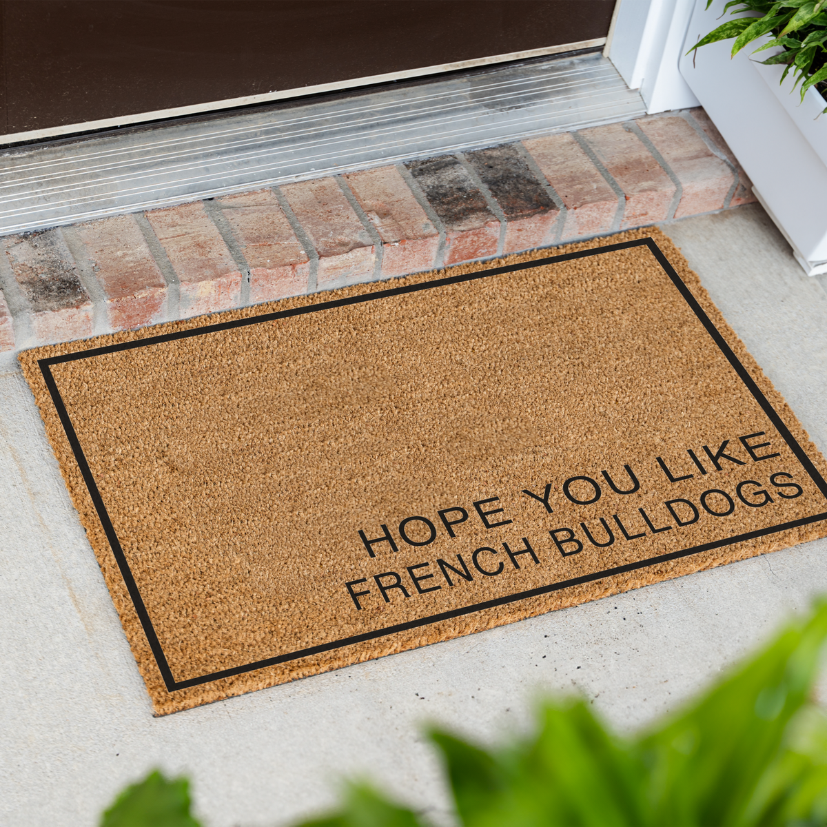 Hope You Like French Bulldogs minimalist coir doormat with a thin black border at an angle in front of a brick step