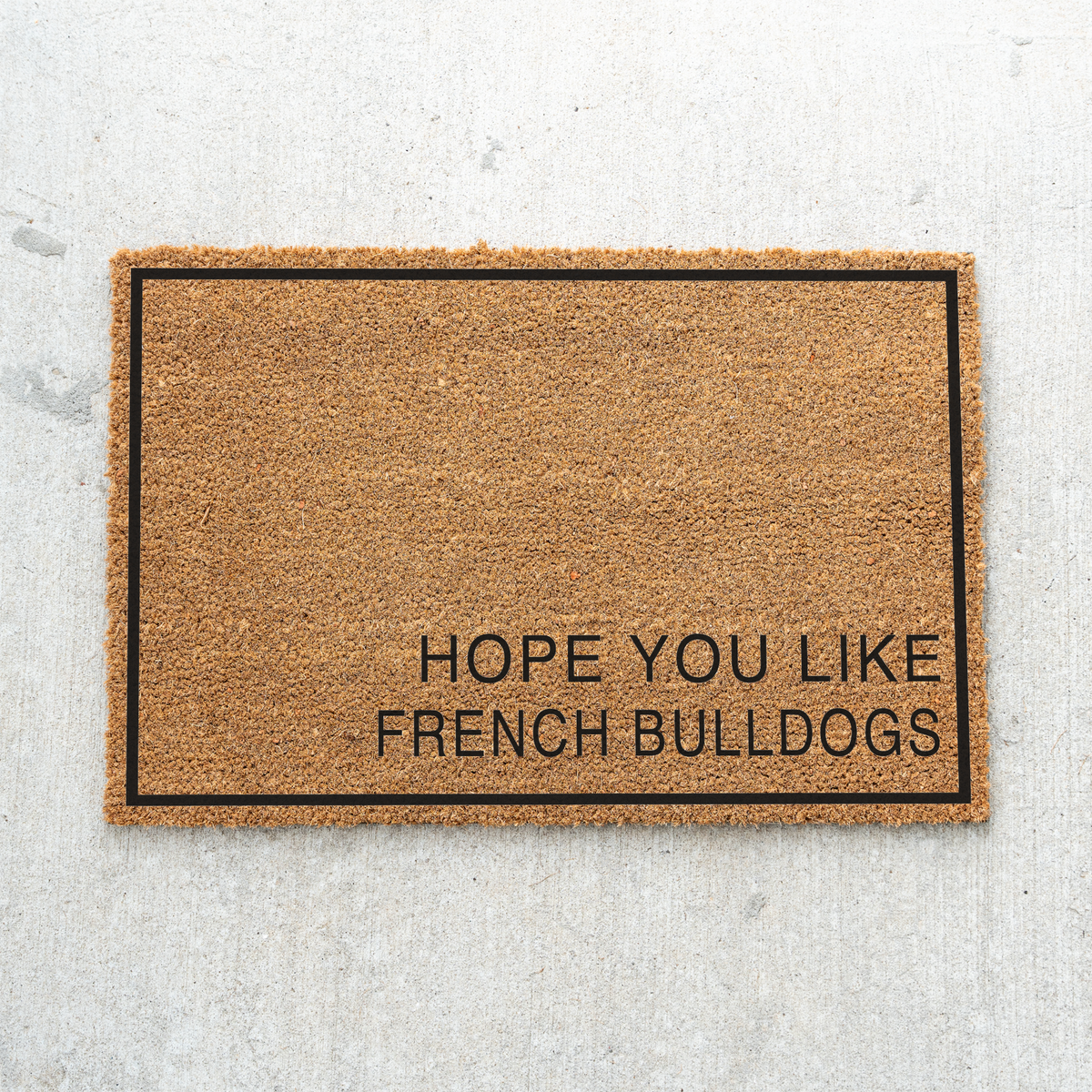 Hope You Like French Bulldogs minimalist coir doormat with a thin black border on a concrete porch
