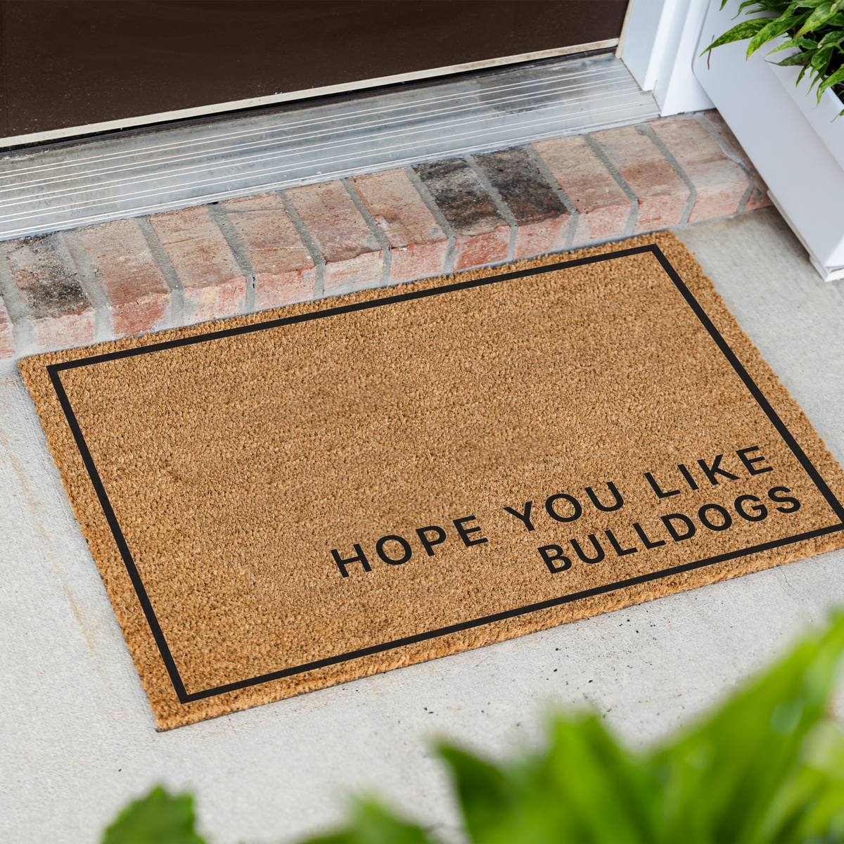 Hope You Like Bulldogs minimalist coir doormat with a thin black border at an angle in front of a brick step